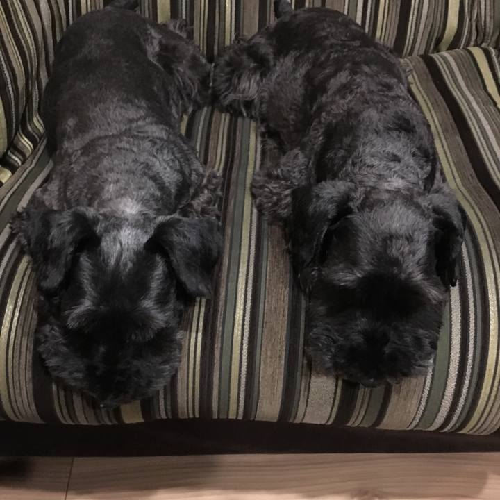 385ad0e8 89ea 4232 b408 6671d1b526b1