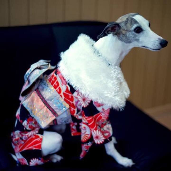 385adcfb bcb7 4483 9629 6396928fb28d