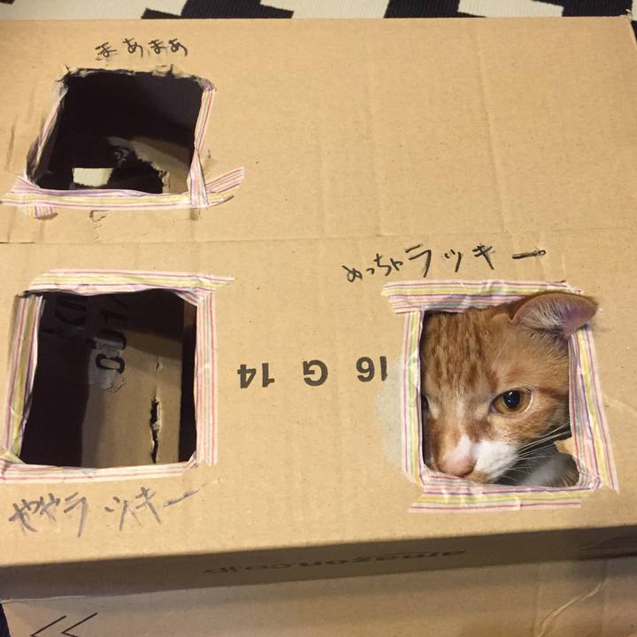 385b9fd3 3eca 42cc 946f 8ad8253f5cd5