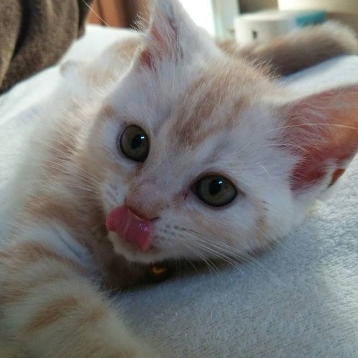 385c1a9e d57c 4441 9873 3ce9ce88a337