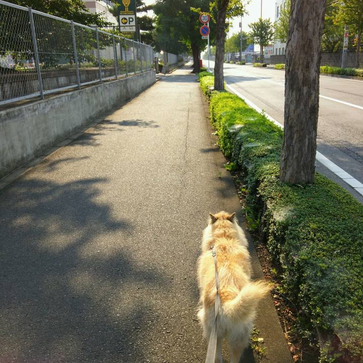 385c1b08 07a4 4634 8203 fbd872347bf4