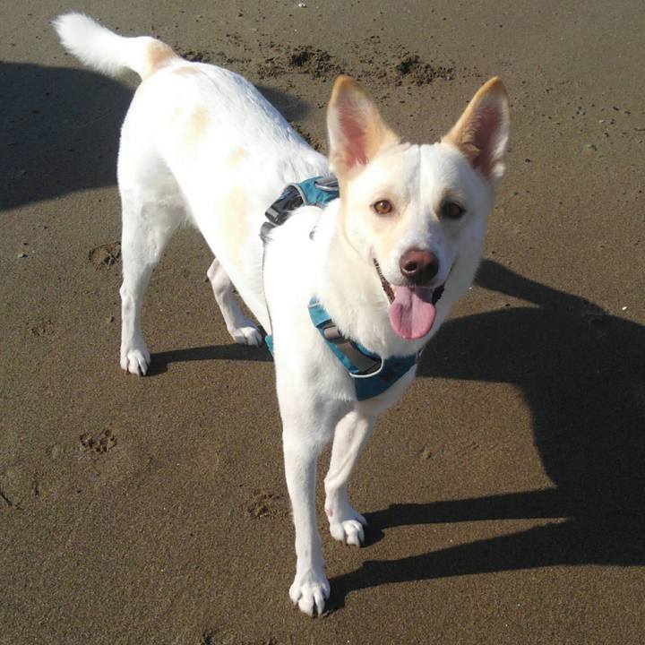 385c1e83 c790 478c 9d4b 0fc46c899acb