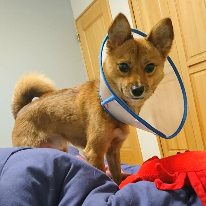 385cd8dc e3f6 4896 acc9 61c17c2dcc1a