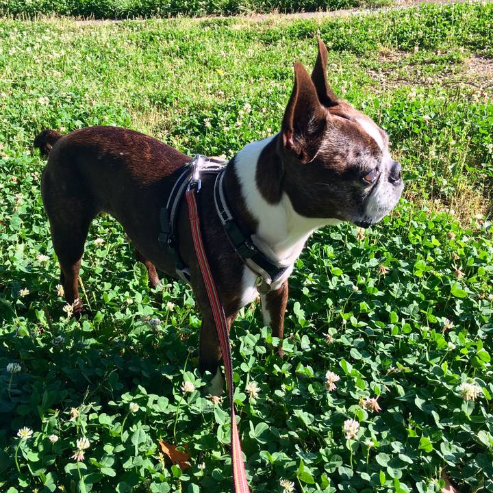 385ce530 128f 4ebe bc71 4f8ceb6c9c6c