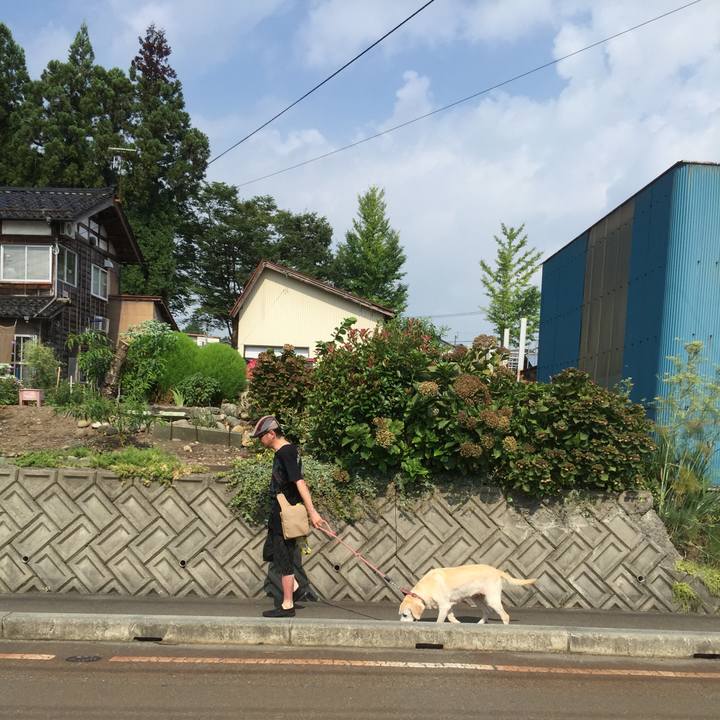 385da200 1f50 461d 91d6 c79f345be2a2