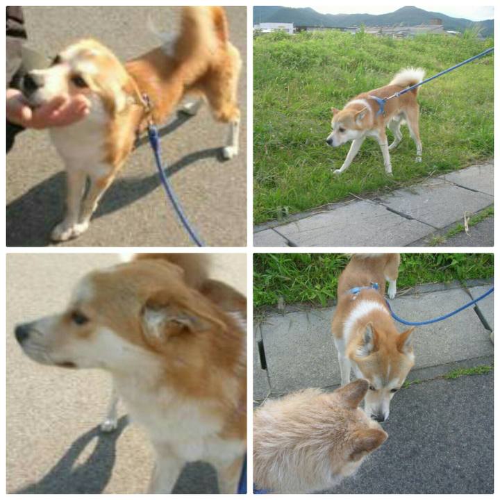 385e0782 0107 4f05 a6f5 57f967866eb9