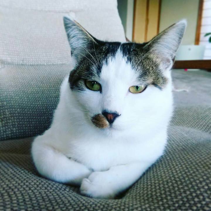 385e3097 4e62 44ce 8670 5d883dc997f3