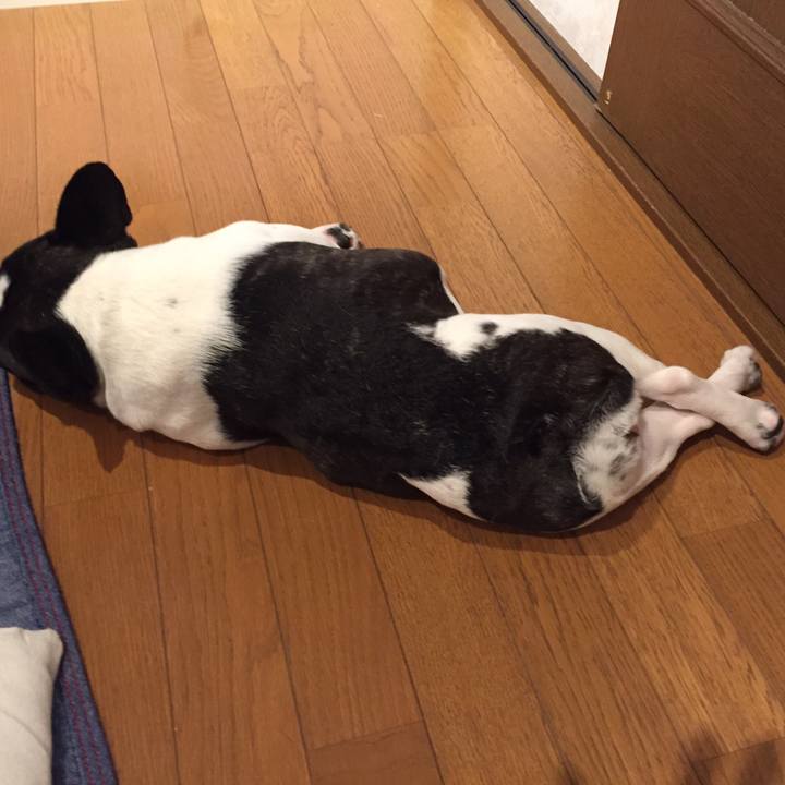 385f12d7 79e8 4941 a0af 235af06db759