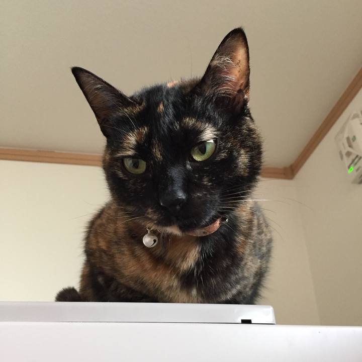 385f24b3 9431 4718 96b7 aac48f4fde62