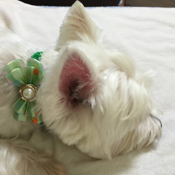 385f7567 87b6 4827 b8f3 dd08d45fc478