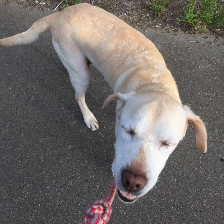 385fd0db de2b 4731 8715 8b8e03e7ddda