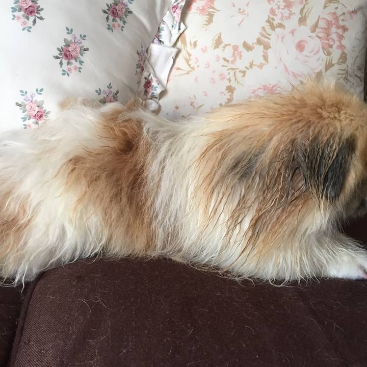 386070f1 784f 4636 8027 1d199ab58fba