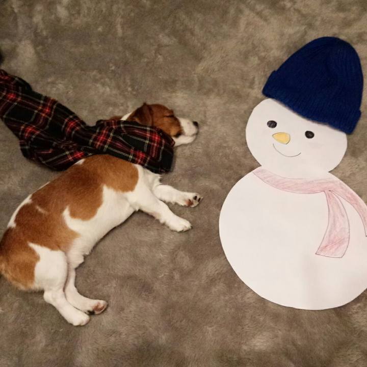 38607910 b821 4f22 bf8f 2ee469e3dd29