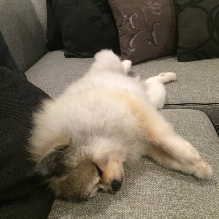 3860a6ad 0d26 4f6d aaed 801720ca2c42