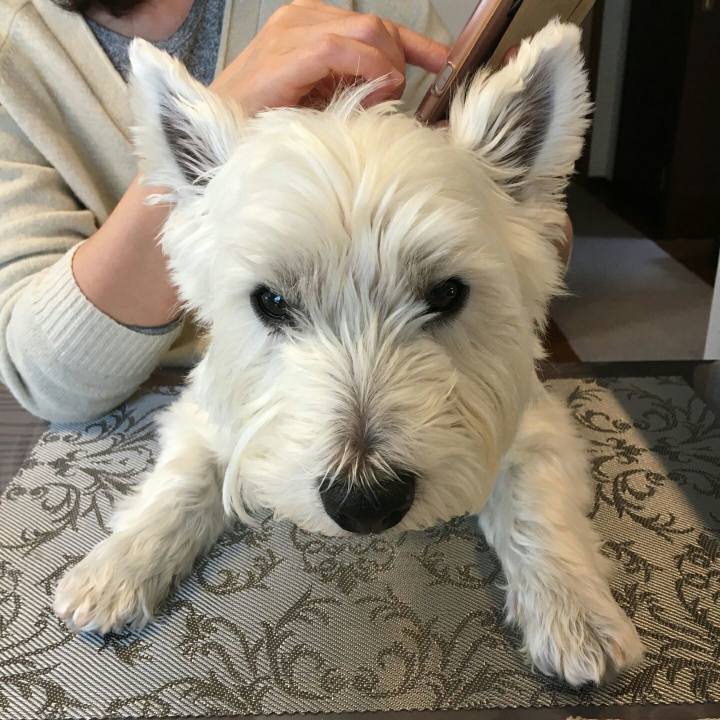 3860c59d 8dcd 47b8 a453 2a66e0710559