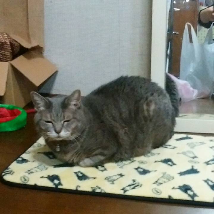 3861f7a4 0552 4e03 8a26 af0719795459