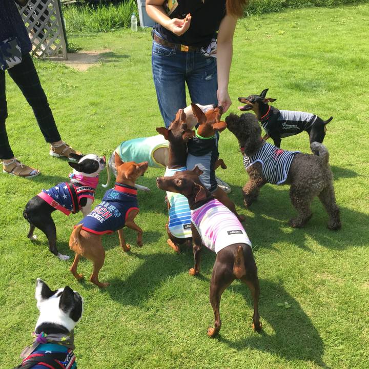 3861fdf8 5500 4847 b6f7 1c445562d0e2