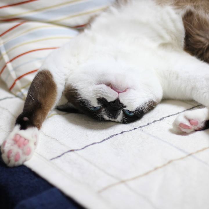 38629b70 984b 46c0 8a94 d6437d74a02d