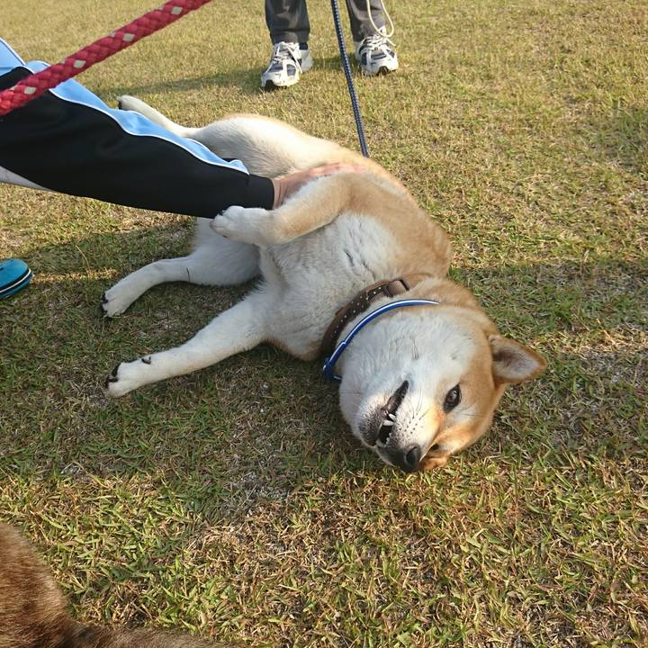 3862d03e 4744 40f4 8301 e74434f96842