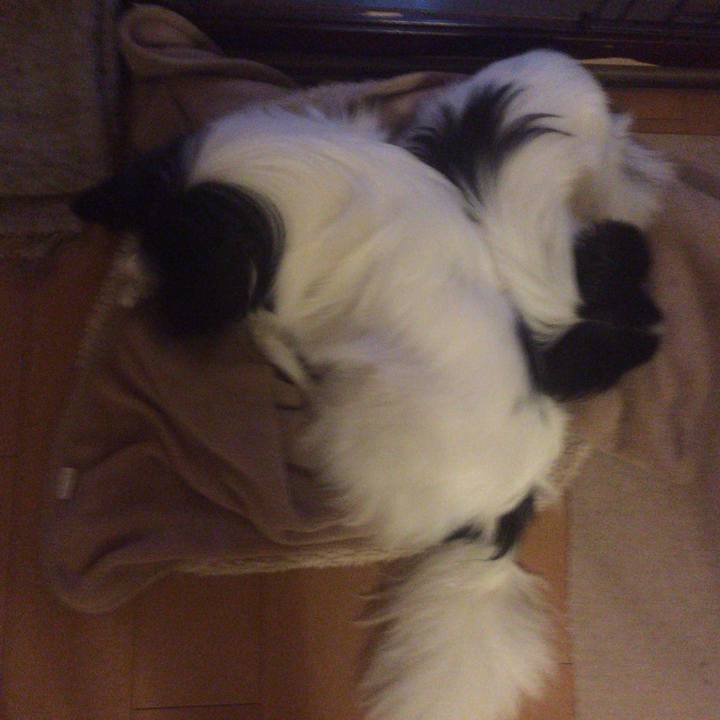 386314e1 85e5 47ea ac36 389e5cafda9f