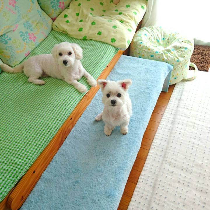 3864241d 4545 415e 8606 7d9d77b54f4c