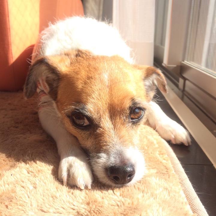 3864c356 4671 47dd 8575 61aa5016b7f1