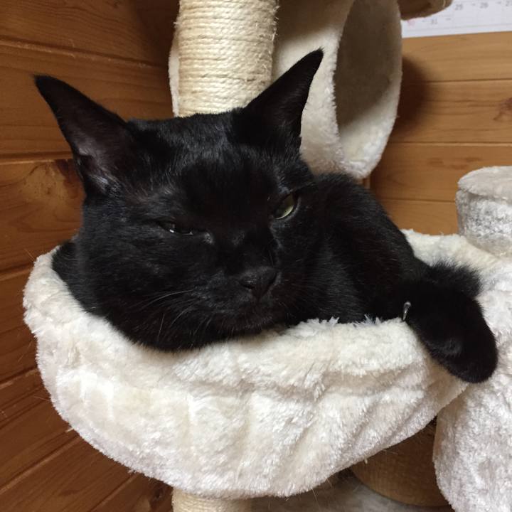 386512a1 1bfe 41cf 978b 4bb19404e6e3