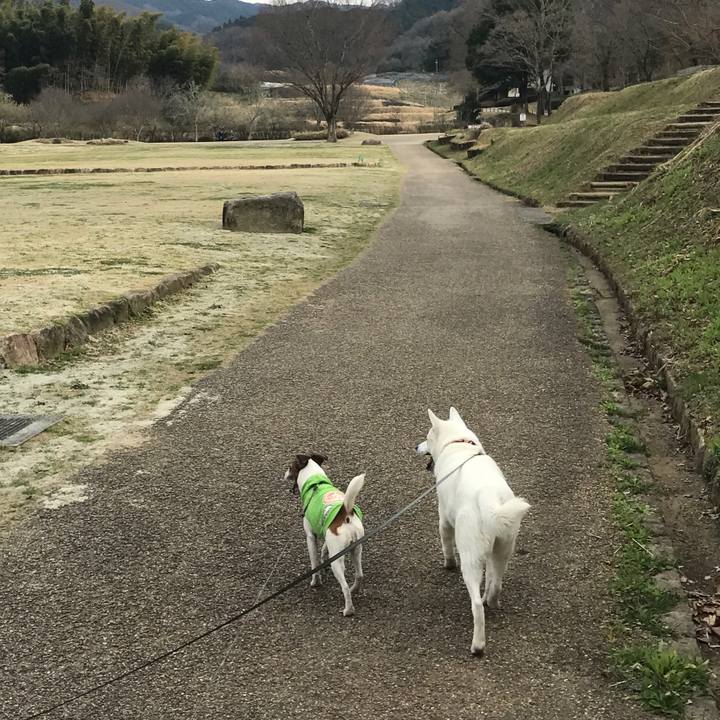 38653636 86c9 424e 9d81 1b00d2310ce8