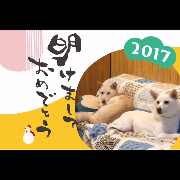 38655d4e 81bf 4c7a 9bbd 01e9fc3ade3a