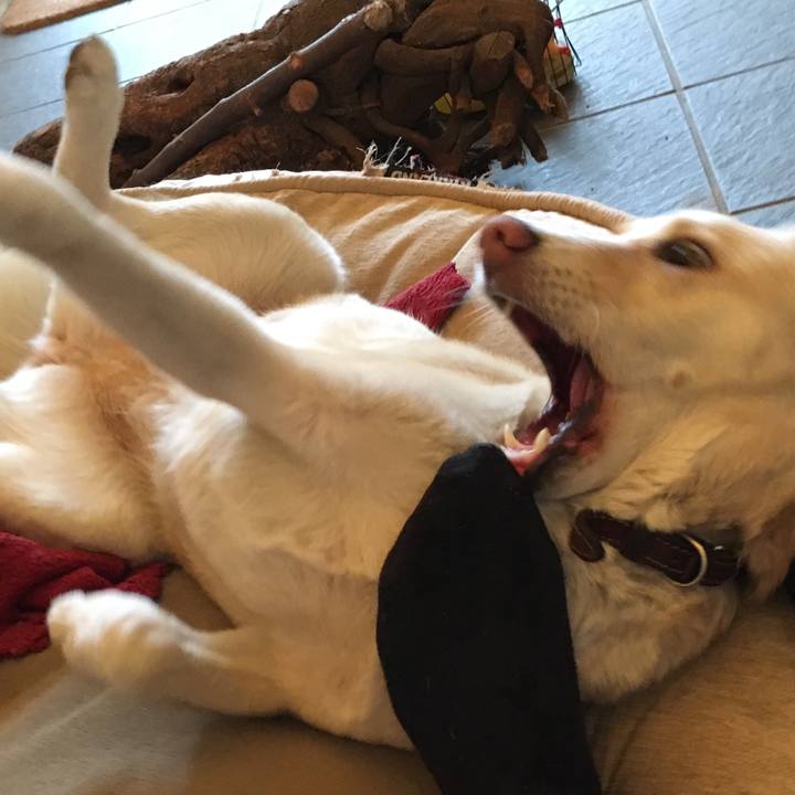 3865db9b dd4b 42af 9ff3 4fb66f370132