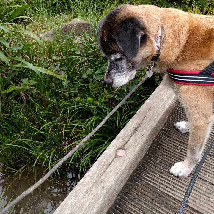 386653db eff5 44d5 bf3b 1111cf2e3e43