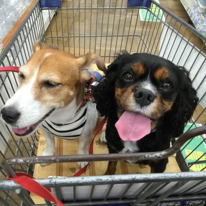 3866a690 4723 459e 97fd 51fca9fe8153