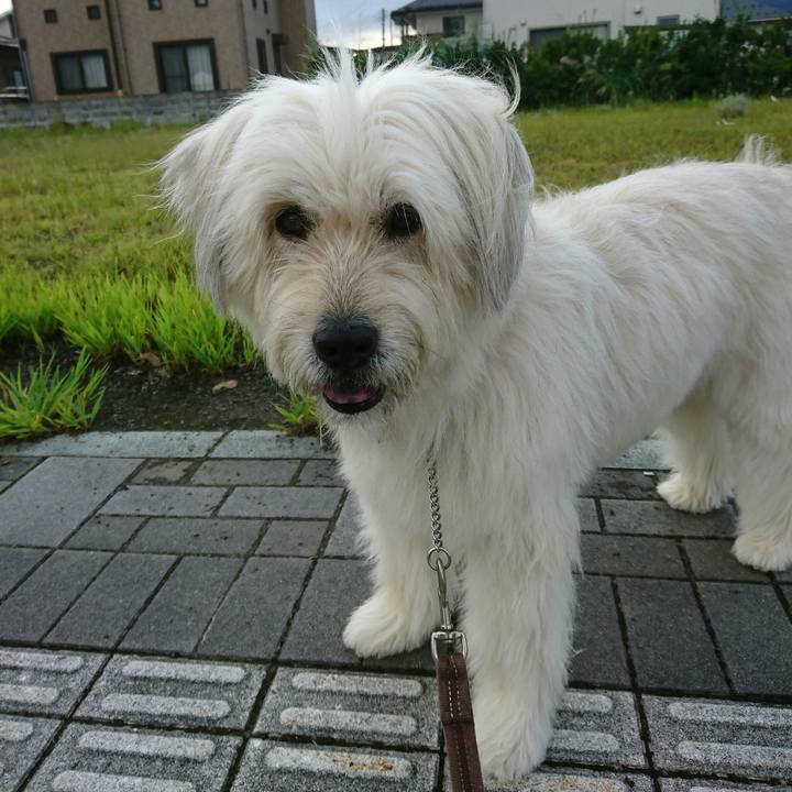 3866b55e 31c2 499e 8fc8 ae801b93a9a7