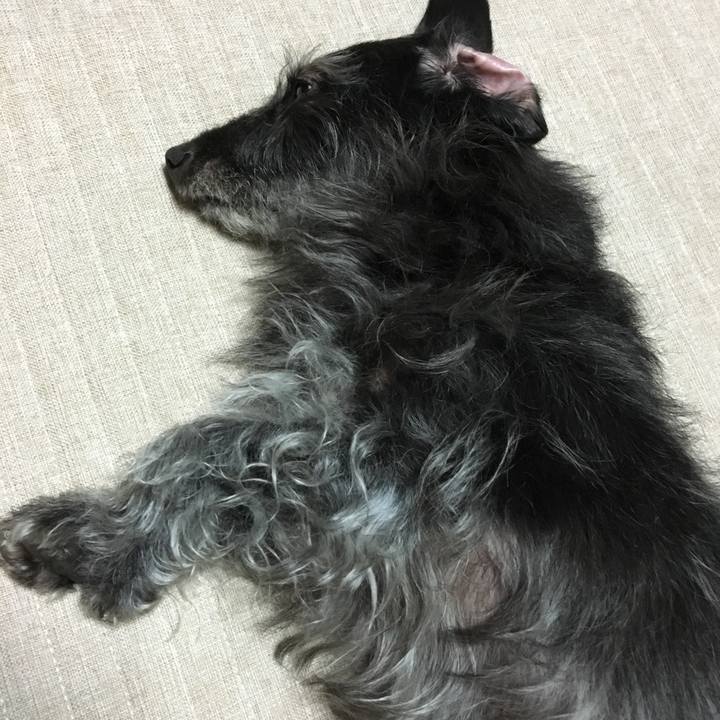 3866df23 35f5 468e 9e64 ee79923c5021