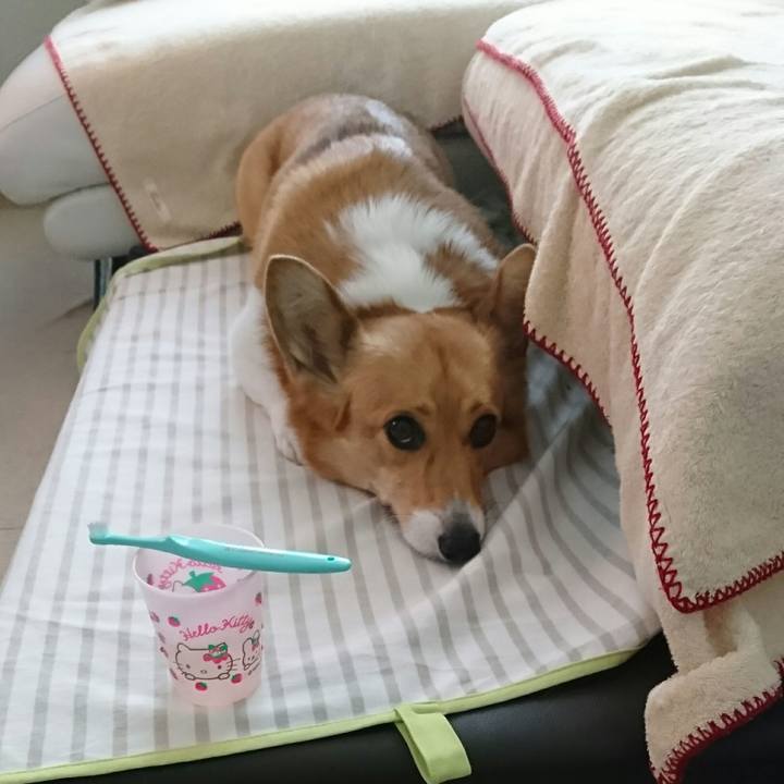 3866ecb8 8826 4052 9db4 3a7b77bf8f5e