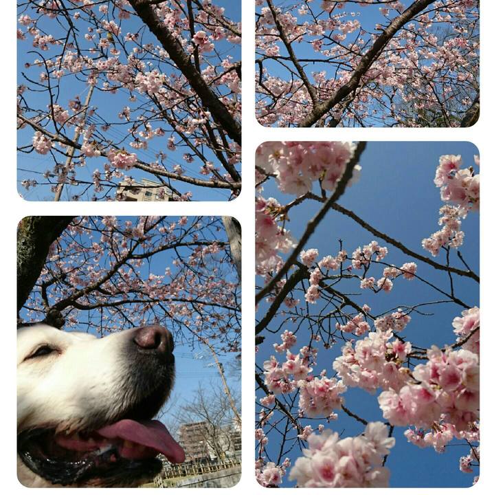 3868127c ea29 4f26 ad6d 27b856a67110