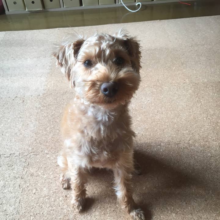 386839f0 894a 4499 b9e3 d1fa5aee7dc8