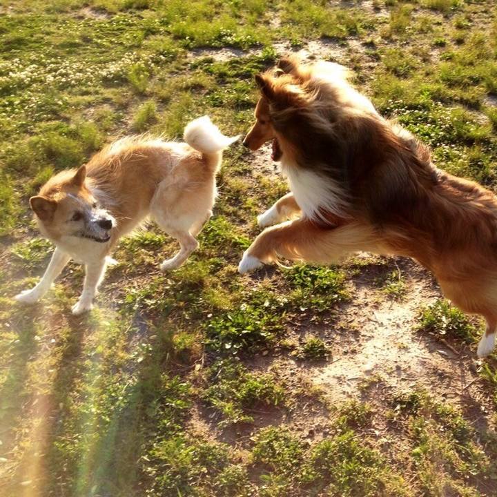 3869747f 717b 4e77 a012 1ae5e9f219fa