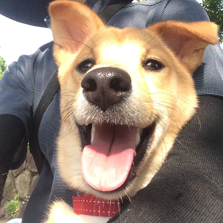 38698a91 cfdb 4ddc a6e8 0339f2afa26f