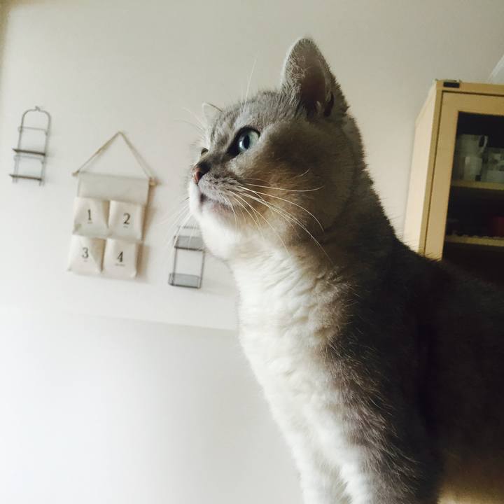 38698d5f aadd 47ad 8755 34ab650d2335