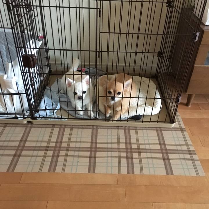 386c9d65 f3e5 4d9b bd46 1e5186f75200