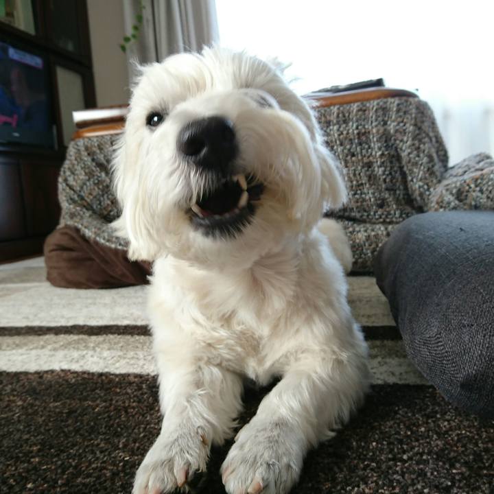 386c9f8c 2de5 485d b2eb 5a494ab86353