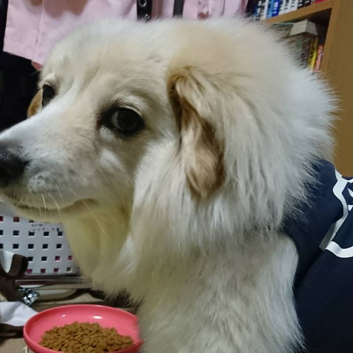 386d0208 23ab 4ee6 b4d5 d9059dd37168