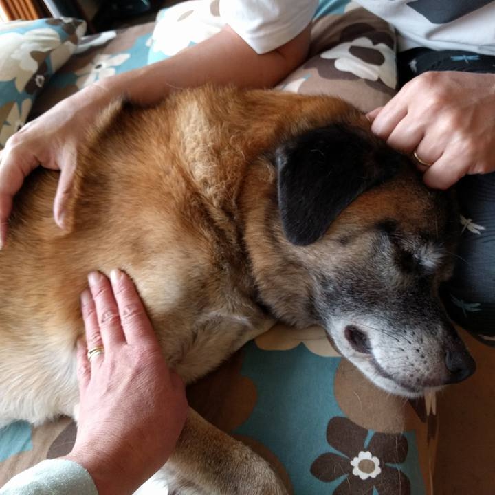 386d1893 454d 4bbb af90 cf563c8877b6