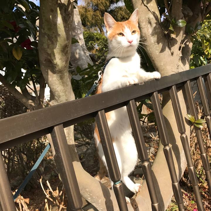 386d4c4b f363 46e2 8a6c ce920e40a797