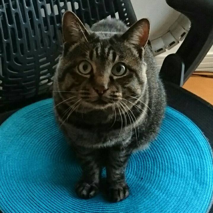 386d4f21 a331 4f62 96f3 cdbd231e8e5b