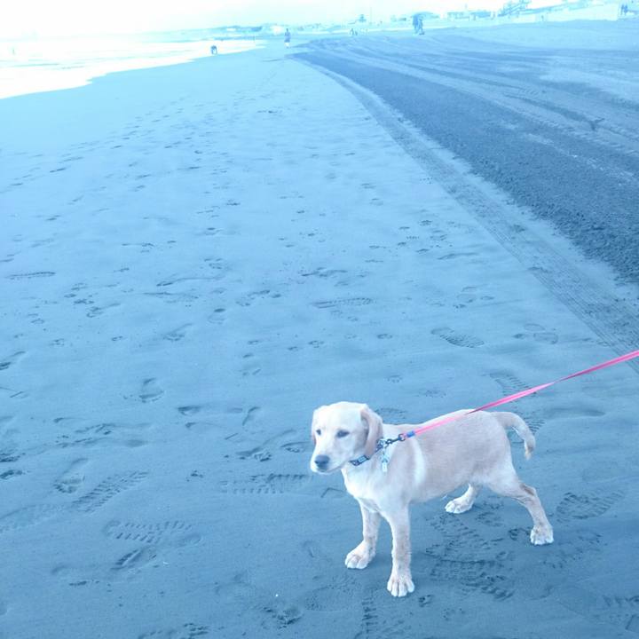 386d60a6 3048 44de a06e 56a1bdbd9895