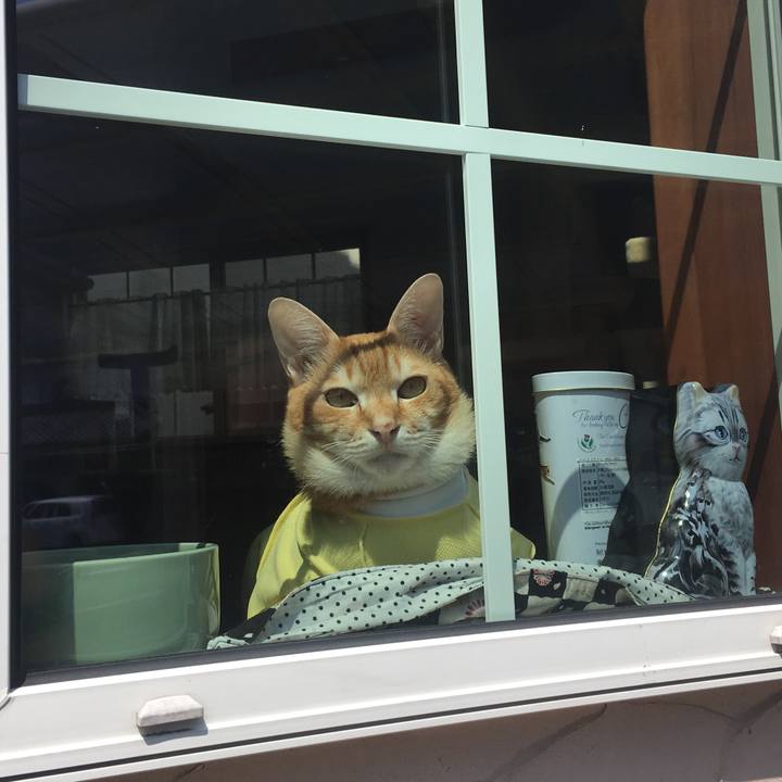 386d68d7 6284 4ba1 a621 ad040b6b12eb