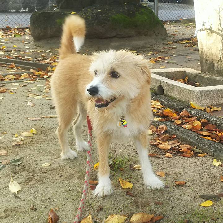 386d7496 e673 4b0c 910f 94df2a30e328