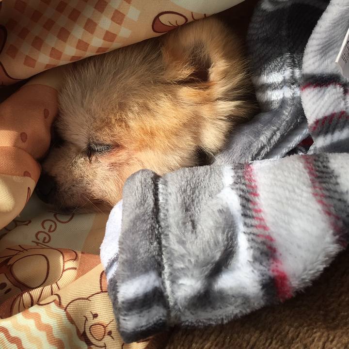 386e2d81 43a6 40eb a3e1 8176c351c202